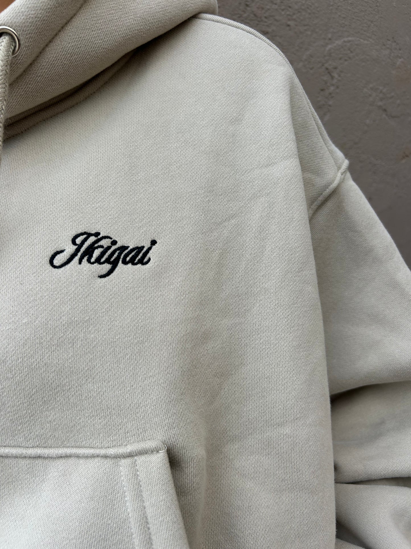 Beige Hoodie Set