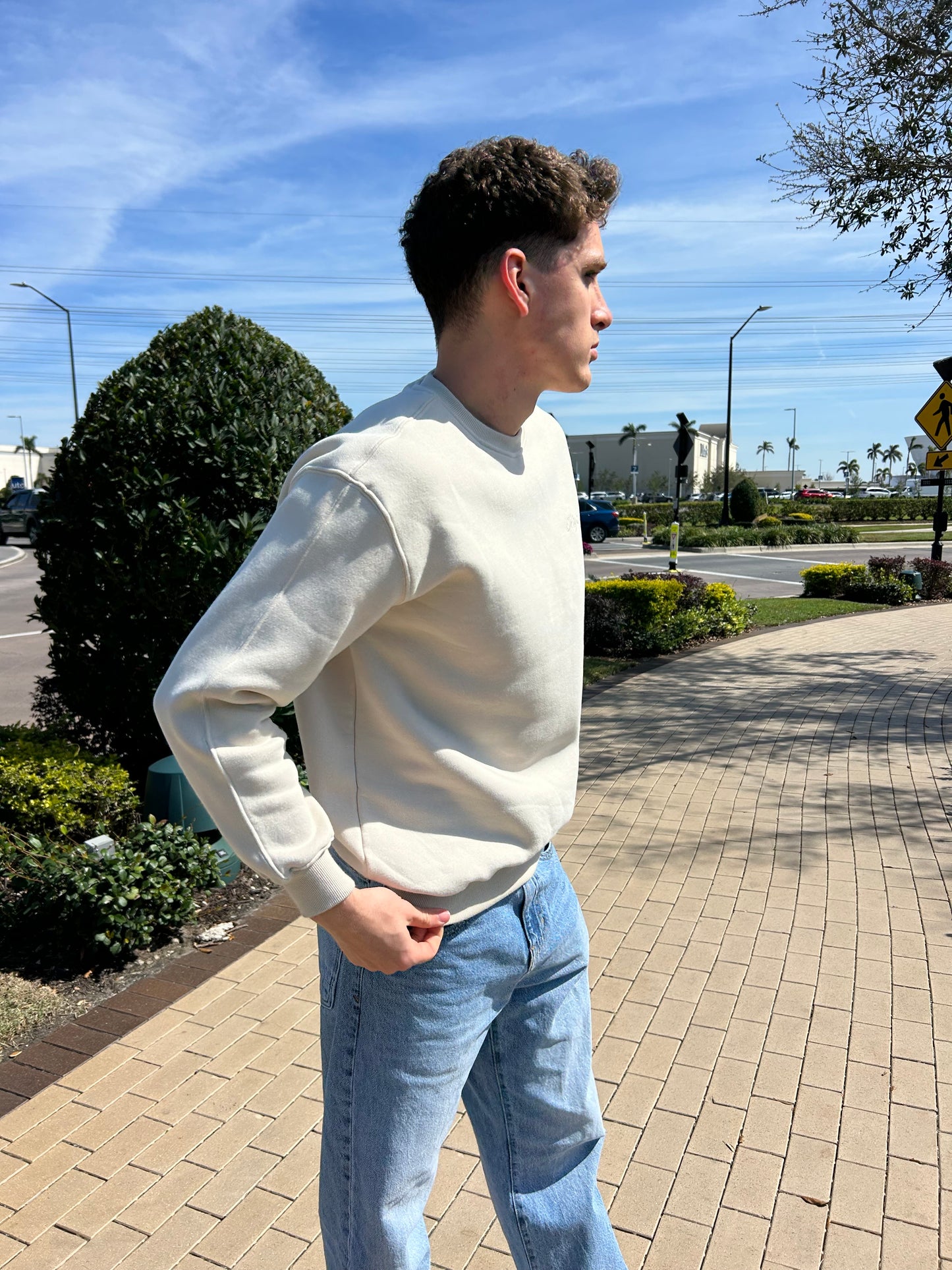 Men’s Beige Fitted Sweater